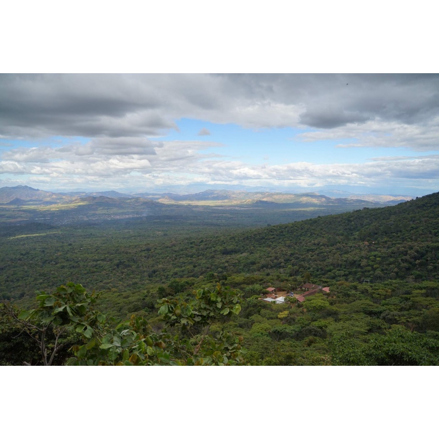 Nordbeans El Salvador RODOLFO, 250g