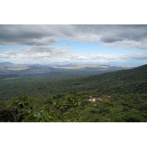 Nordbeans Salvador RODOLFO, 250g