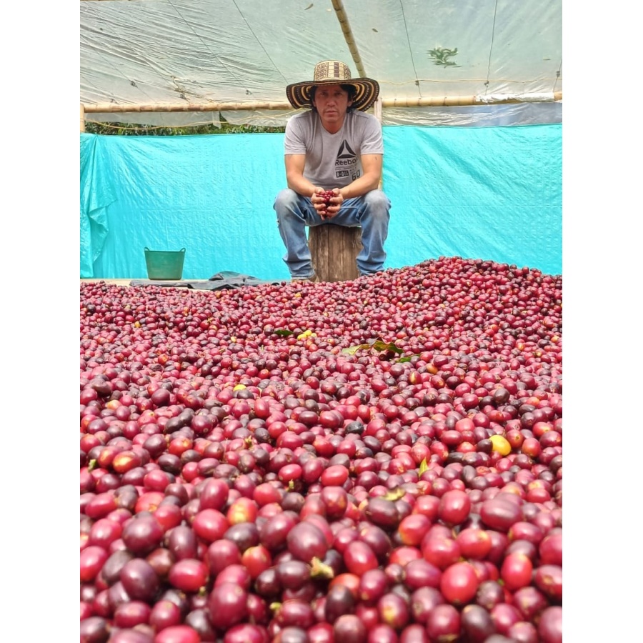 GourmetCoffee Specialitate Colombia El Agrado Miere 250g