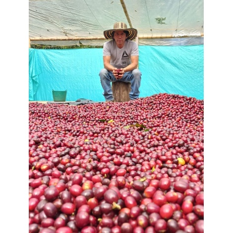 GourmetCoffee Specialty Колумбия El Agrado Honey 250g