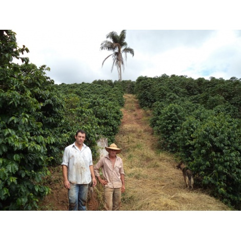 Gourmet kava Specialty - Brasil Honorio 250g