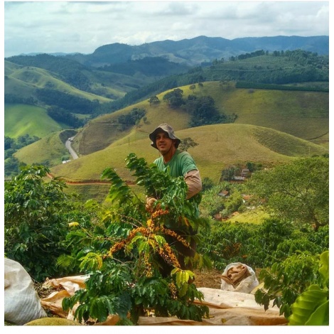 GourmetKáva Specialty - Brasil Honorio 250g