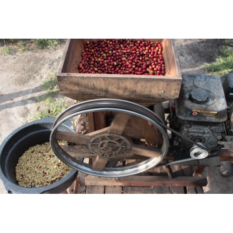 GourmetCoffee Specialty - Индонезия Aulila Kahfi 250g