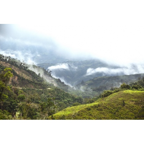 Gourmet kava Specialty - Peru T. Sachez 250g