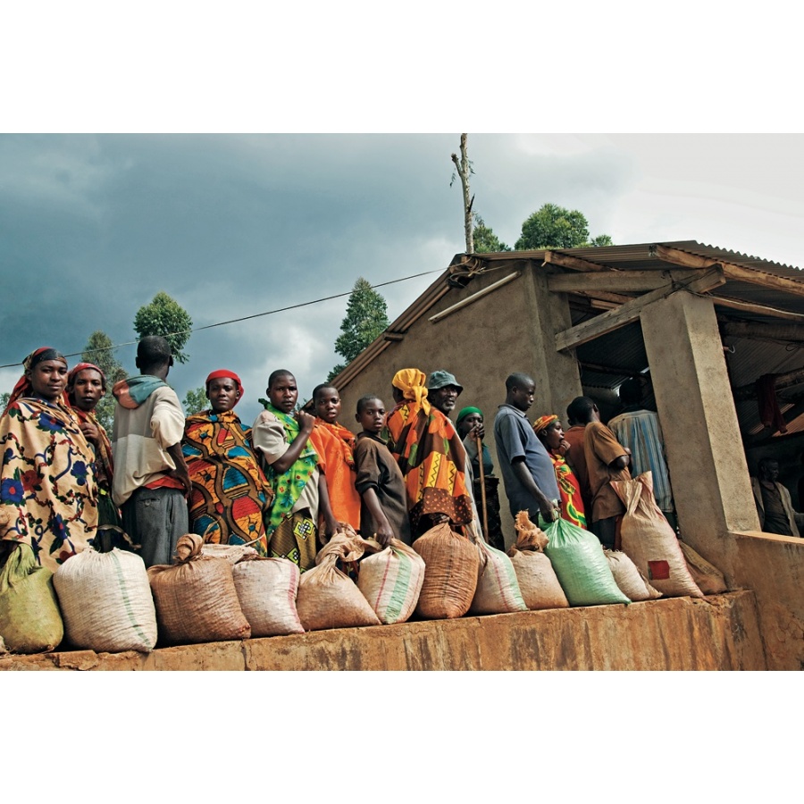 Knjiga: The World Atlas of Coffee – James Hoffmann – 2. izdanje (na engleskom)