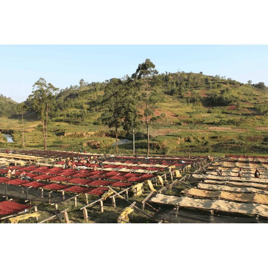 GourmetKáva Specialty Burundi Gakenke 250g