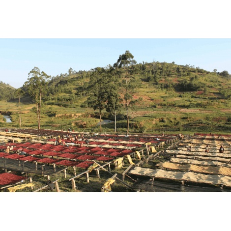 GourmetCoffee Specialty Burundi Gakenke 250g