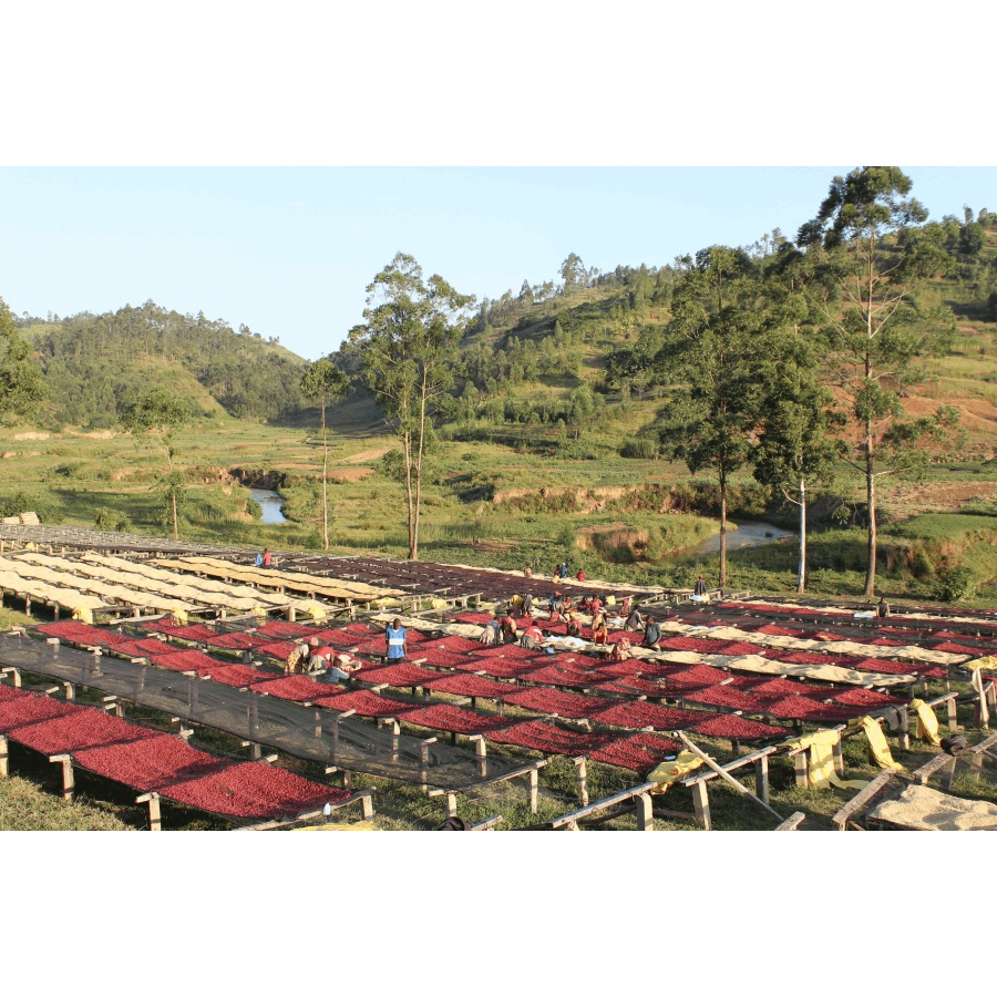 GourmetCoffee Specialty Burundi Gakenke 250g