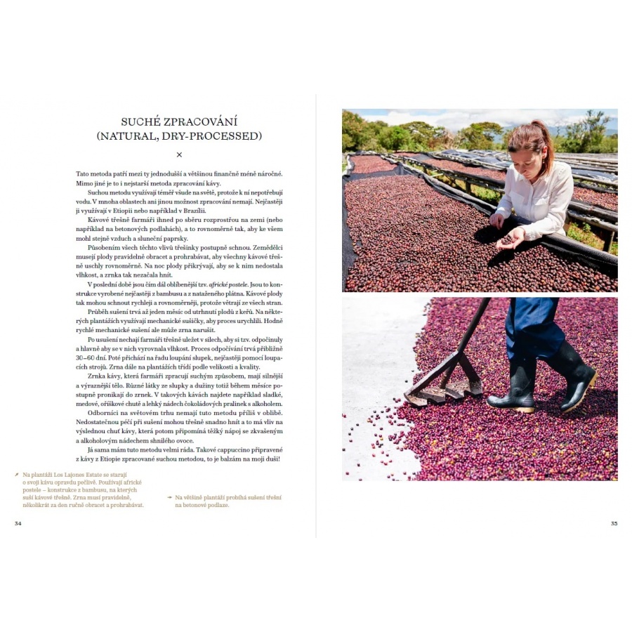 A kávé nagy könyve - Petra Veselá