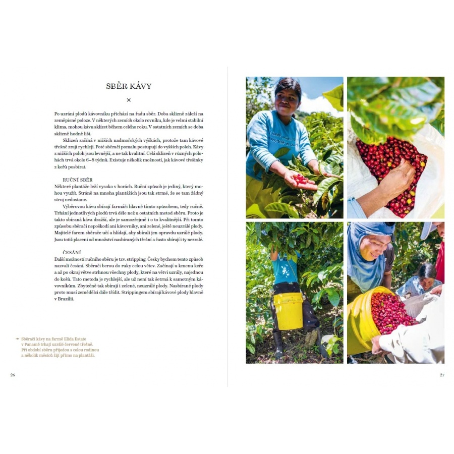 Knjiga o kavi - Petra Davies Veselá