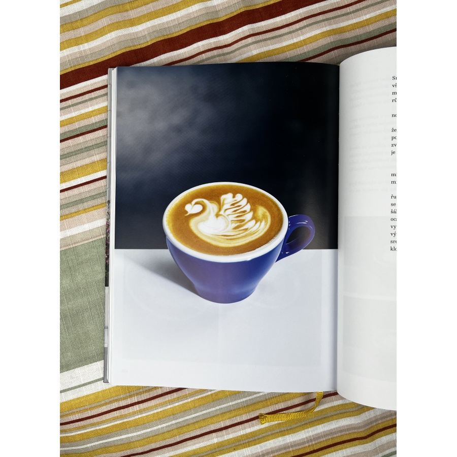 The Big Book of Coffee - Petra Veselá