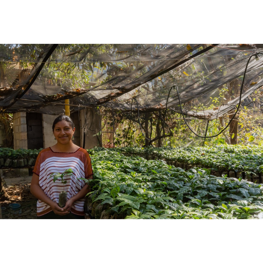 GourmetCoffee Specialitate Guatemala Comal 250g