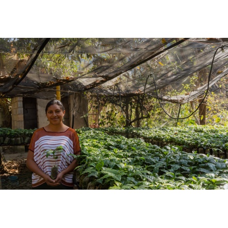 GourmetKáva Specialty Guatemala Comal 250g