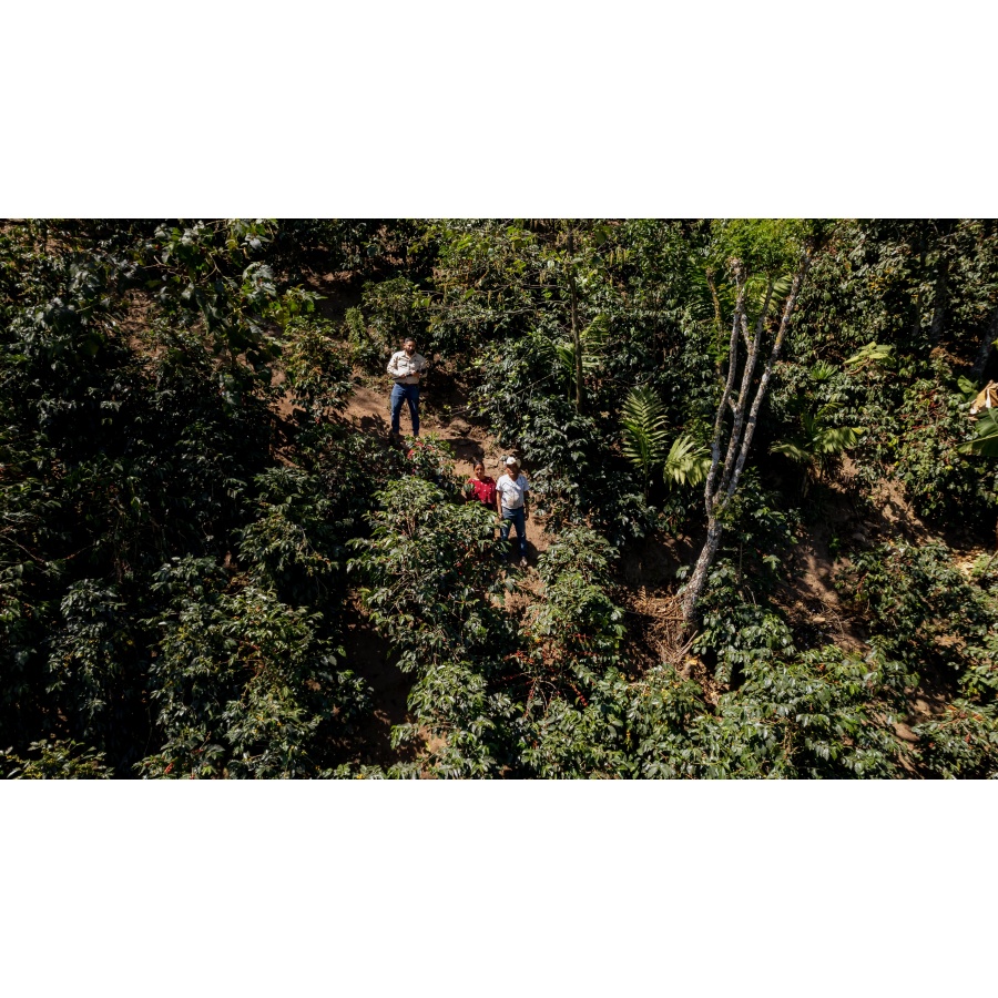 GourmetCoffee Specialty Guatemala Comal 250g