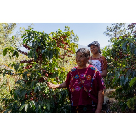 GourmetKáva Specialty Guatemala Huehuetenango ESP 250g