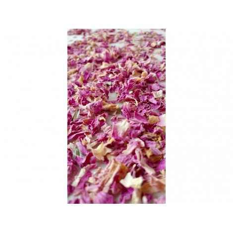 Čokoláda Míšina čokoláda, Tanzanie Jahody, kokos, růže 58,5%