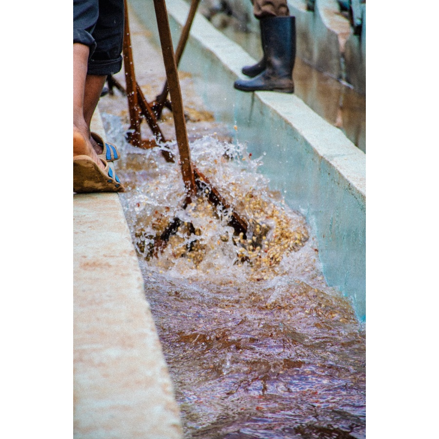 GourmetCoffee Specialty Kenija Baragwi - Guama AA 250g