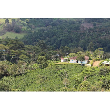 GourmetCoffee Specialty Colombia EL SILENCIO 250g