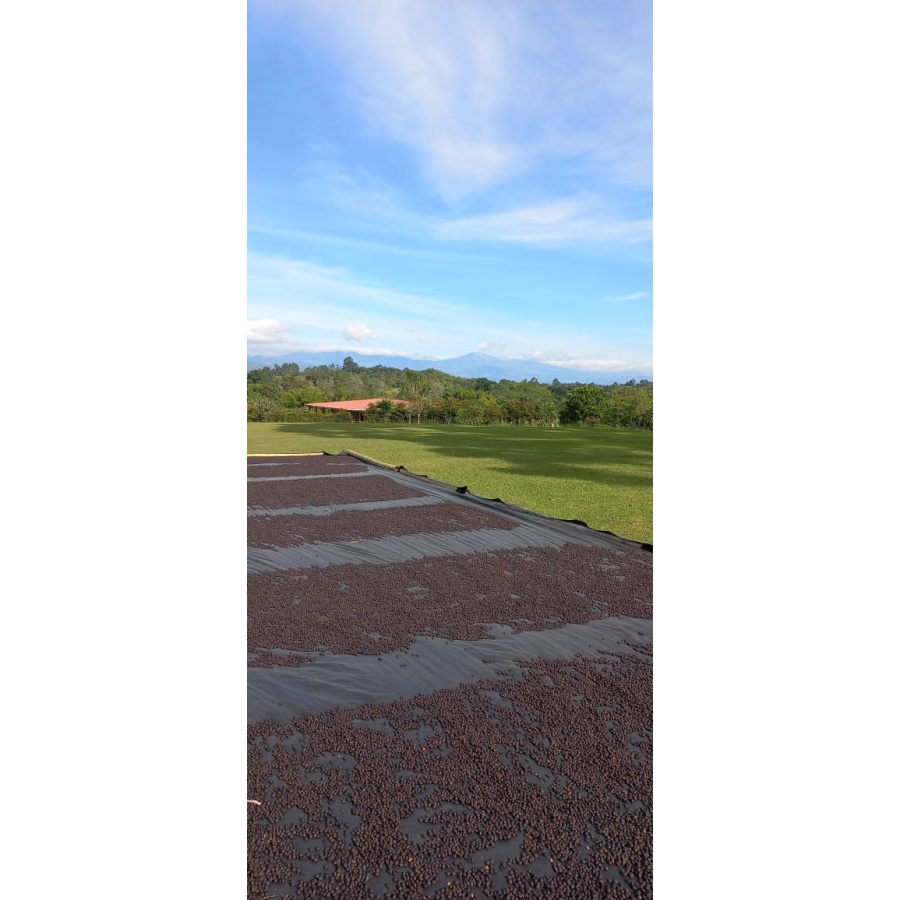 GourmetKáva Specialty Kolumbija EL SILENCIO 250g