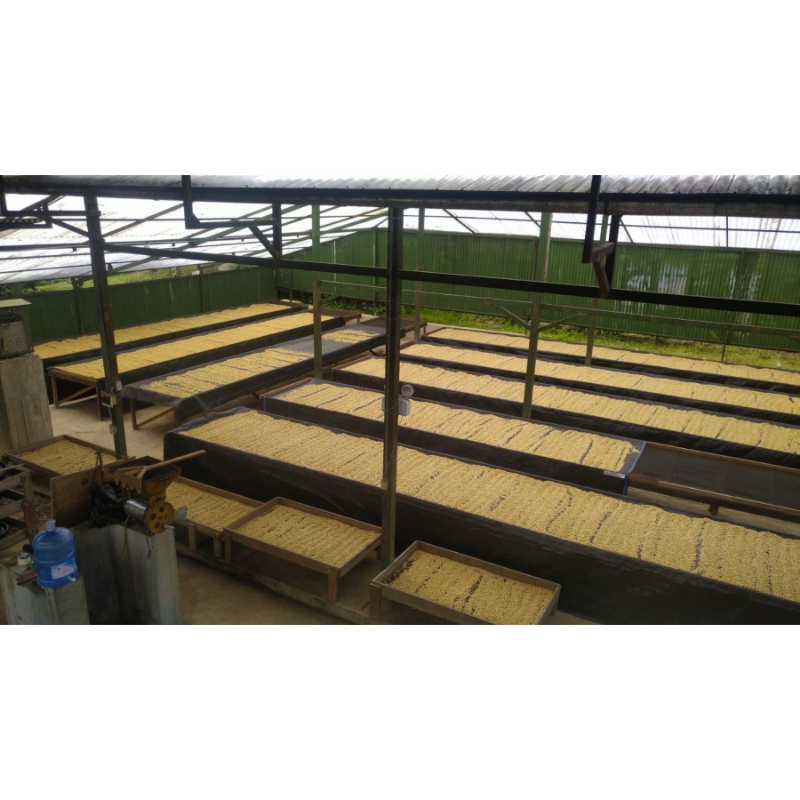 GourmetCoffee Specialty Перу Монтеверде 250г