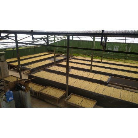 GourmetKáva Specialty Peru Monterverde 250g