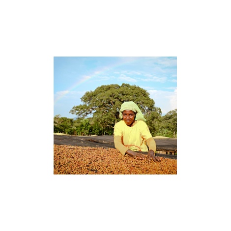 GourmetCoffee Specialty Etiópia Uraga 250g