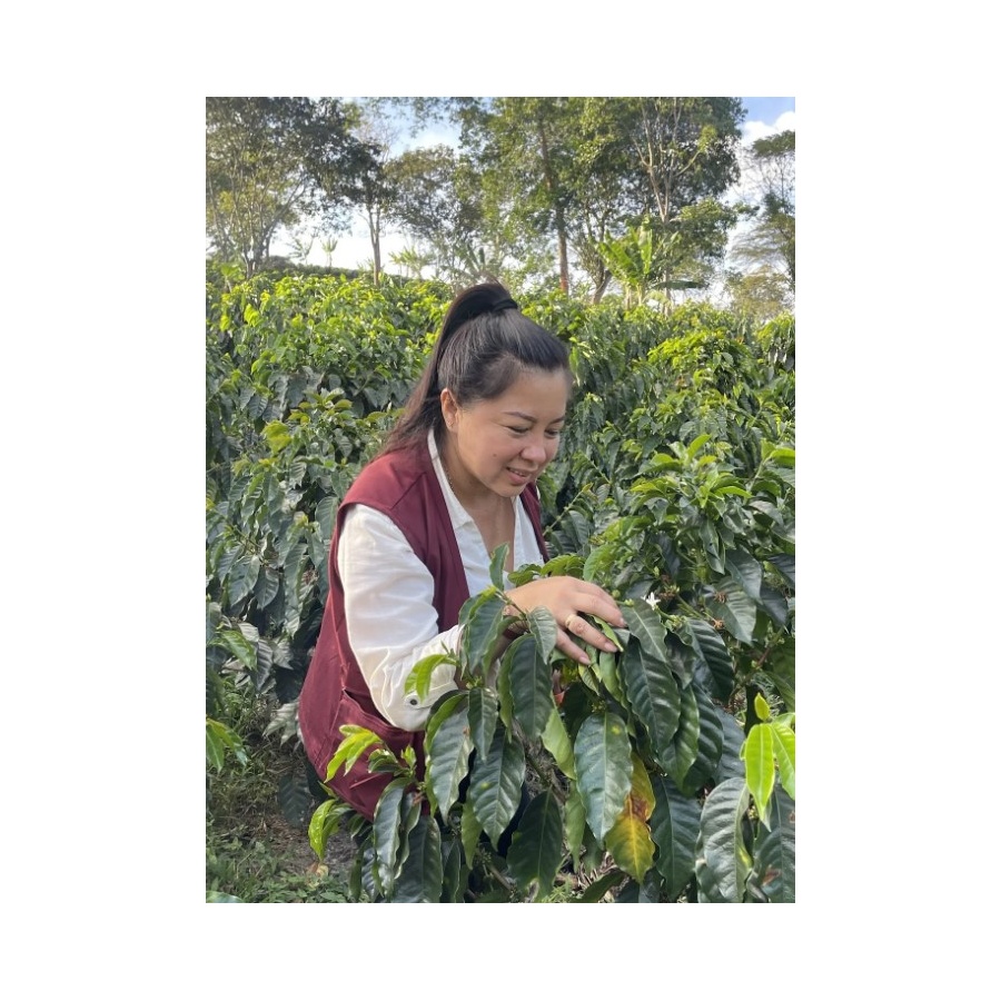 GourketCoffee Specialty Columbia D. Sambony 250g