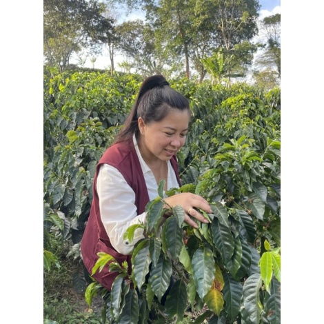 GourketCoffee Specialty Columbia D. Sambony 250g