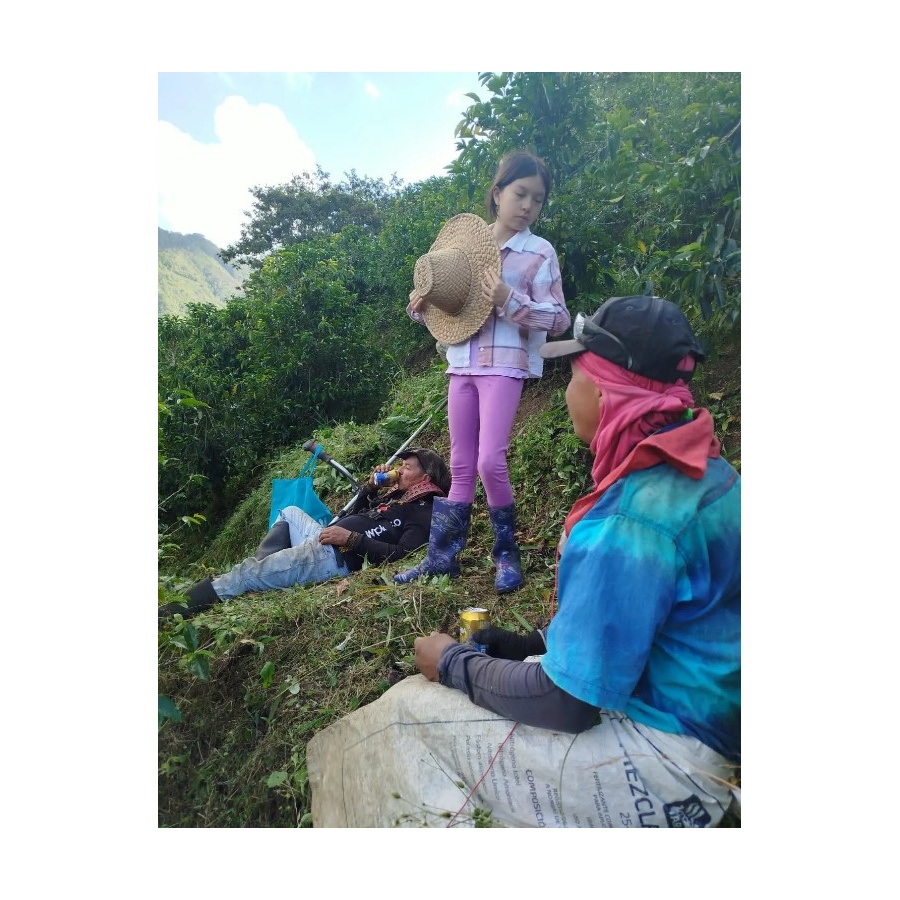 GourketCoffee Specialitate Columbia D. Sambony 250g