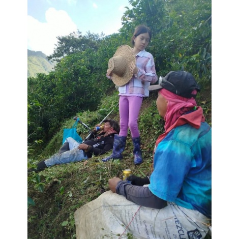 GourketKáva Specialty Columbia D. Sambony 250g