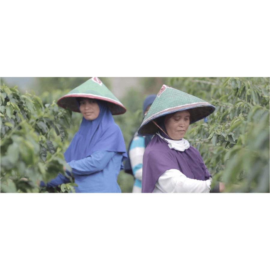 Beansmiths Indonésie Koerintji Barokah AN-H 250g