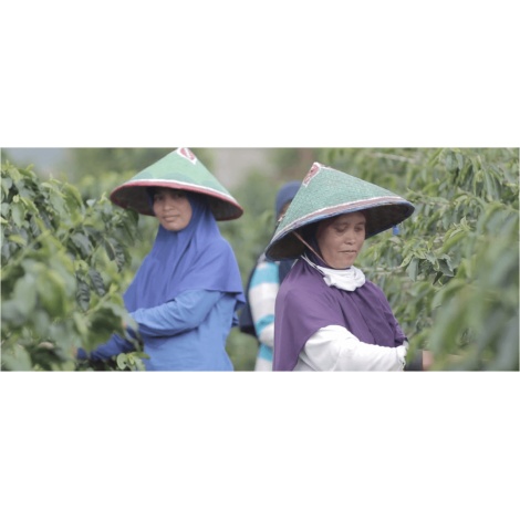 Beansmiths Indonésie Koerintji Barokah AN-H 250g