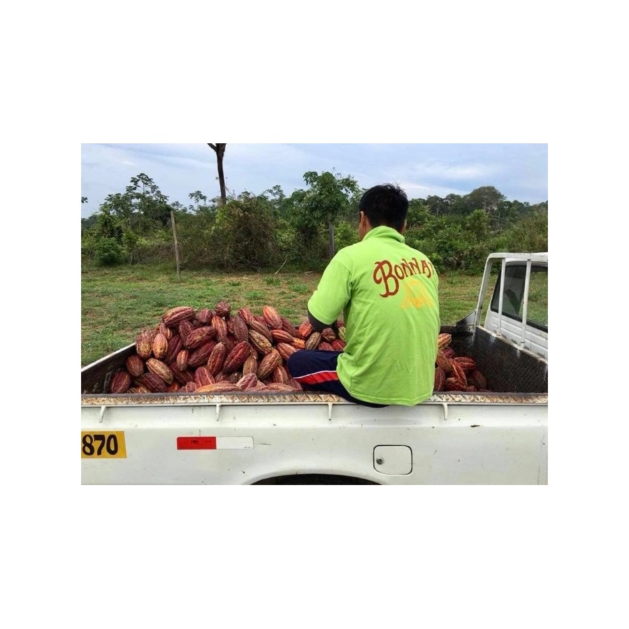 Шоколад Bonnat 100%