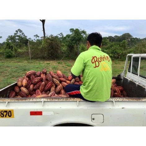 Bonnat čokolada 100%