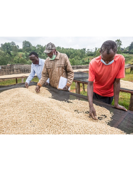 GourmetCoffee Specialty - Kenya Nyeri 250g