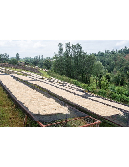 GourmetKáva Specialty - Kenya Nyeri 250g