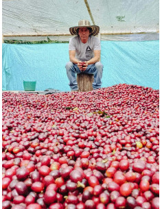 Cafea Fathers Columbia Inza 300g 2