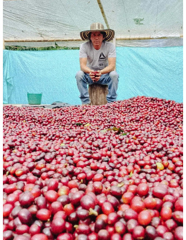 Očeva kava Kolumbija Inza 300g