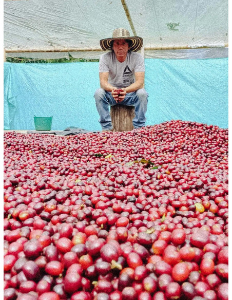 Fathers Coffee Colombia Inza 300g