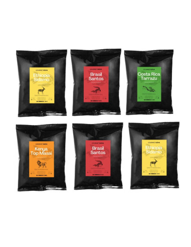 Subscription to Filter Coffee by GourmetKava - medium roast