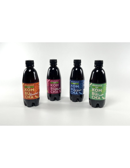 Allnature Kombucha Ghimbir Organic 330 ml