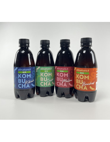 Allnature Kombucha Ghimbir Organic 330 ml