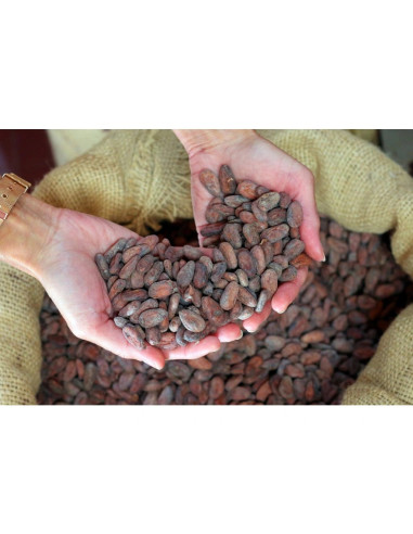 Ciocolată cu lapte Bonnat Noisettes 55% cu alune