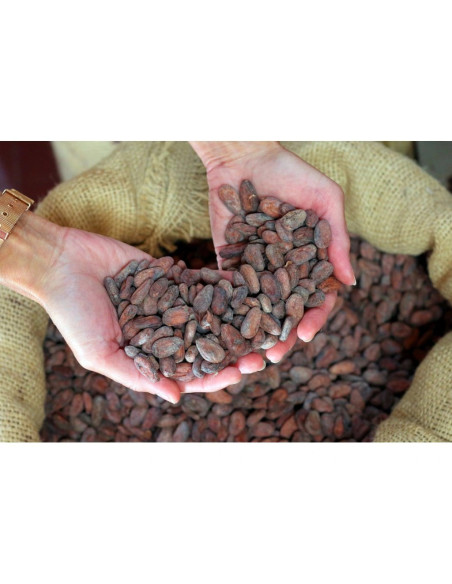 Milk chocolate Bonnat Noisettes 55% with hazelnuts