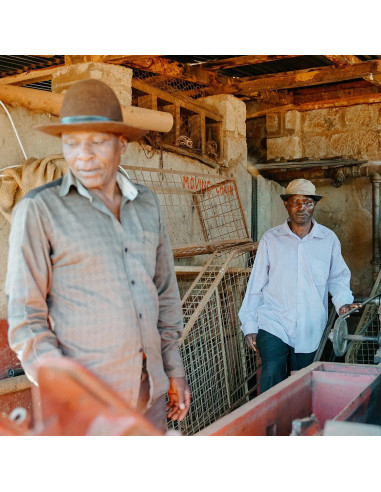 Nordbeans Rodolfina - Filtru 250g