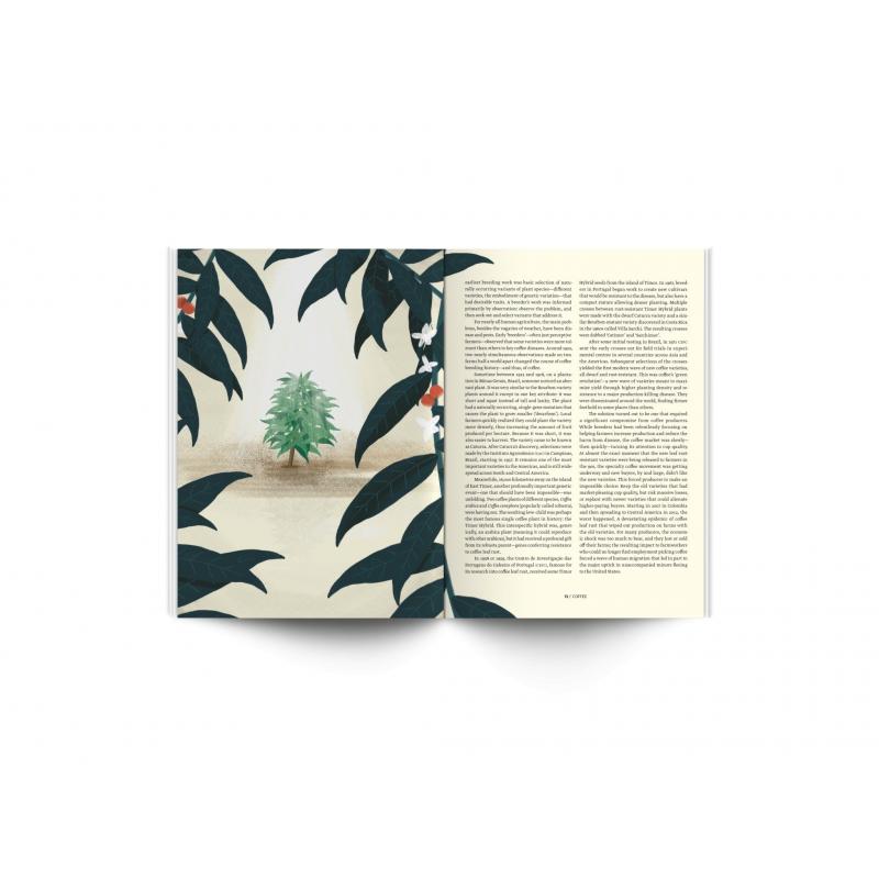 Standart magazine No. 11