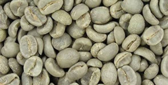 Zelena kava - kava za mršavljenje i prevenciju