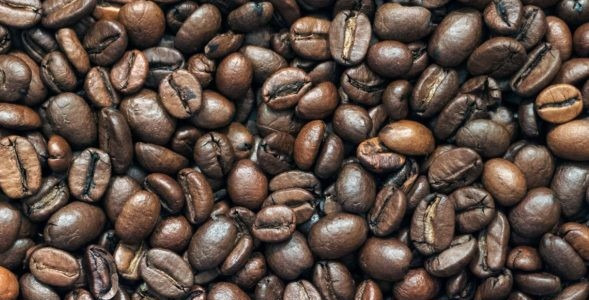 Vrste biljaka kave i proizvodnja kave