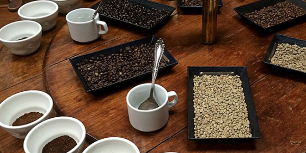 Priprema domaćeg cuppinga - degustacija kave